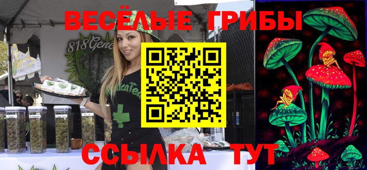 Галлюциногенные грибы мицелий  Вход с VPN  Шелехов  Псилоцибиновые грибы мицелий 